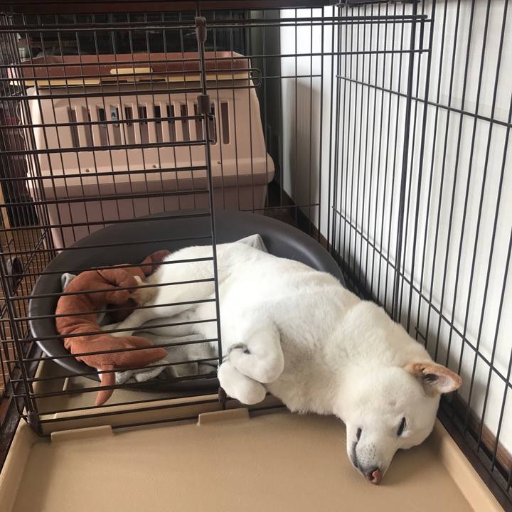 6b534f77 56ae 4791 b772 293ba423da7e 1522735534488