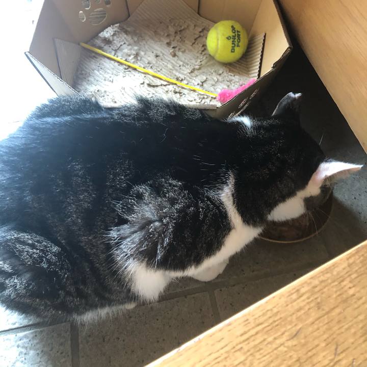 6b537a6e aa36 49ad 81e0 b10f74742b90 1598838344861