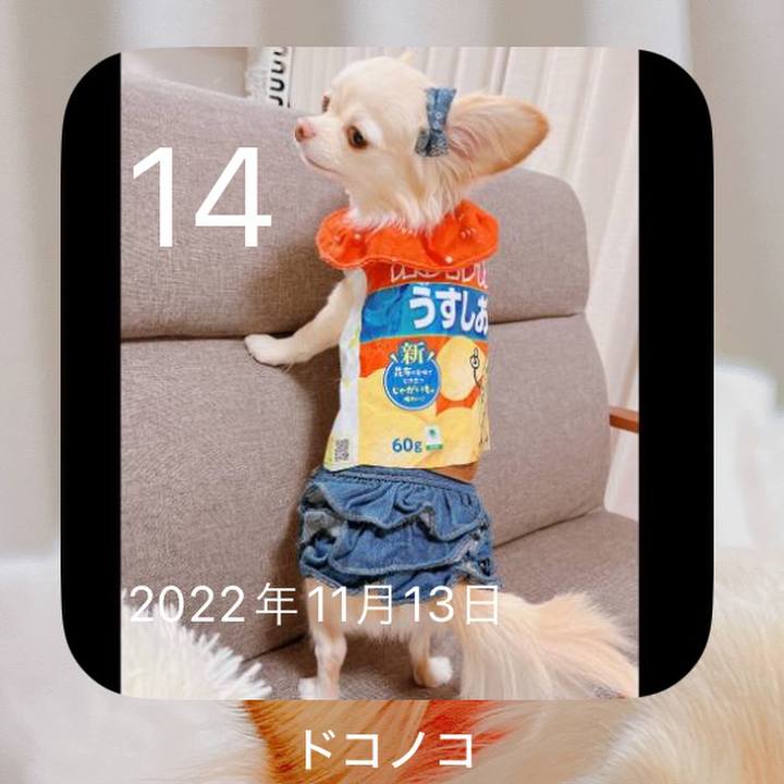 6b537f85 14d0 4e2e 9330 2131c0293bd9 1731572706321