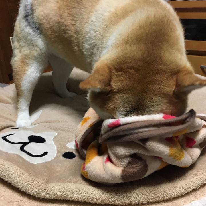 6b538e99 d849 4844 9d01 2d6141b45d6e 1580124407146