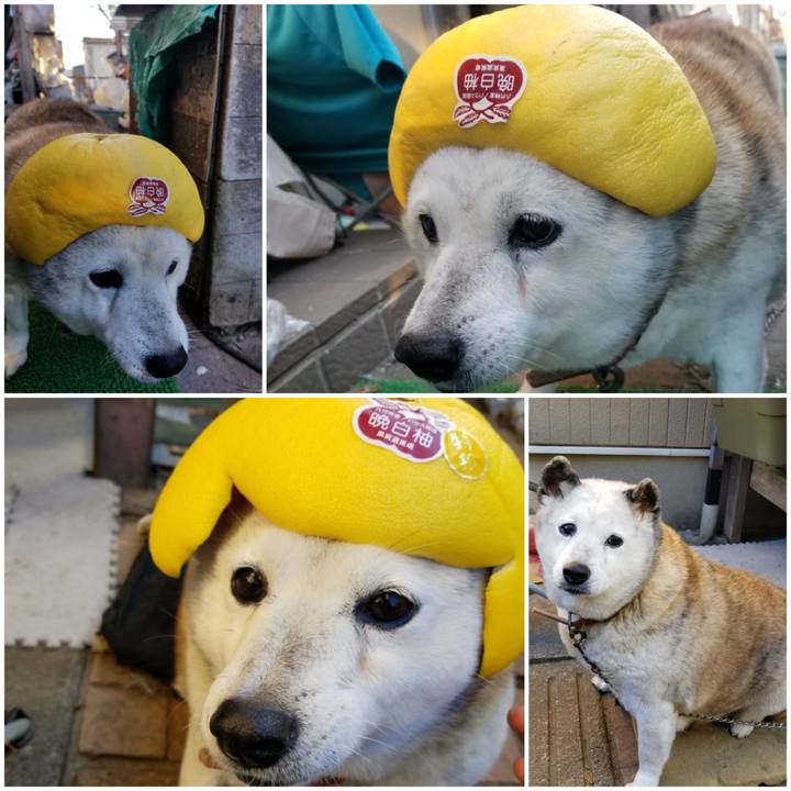 6b53a32d 1eb4 4667 b418 9bf23db4bd60 1738105619798