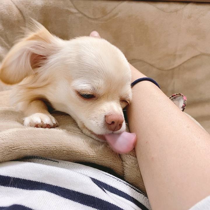 6b53b483 0d21 42d8 ab92 3e86d69ce674 1618821984427