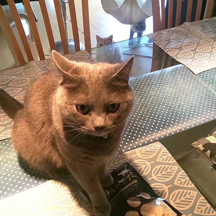 6b53c187 7391 4269 978c 52ee73a668c8 1598572303455