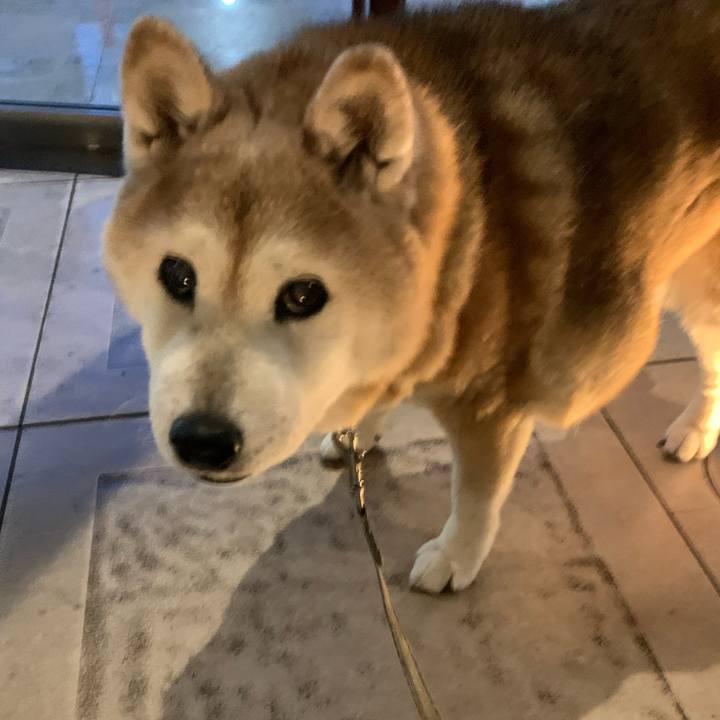 6b53dafb 7691 4206 b492 06fe0bd401a9 1680220385502