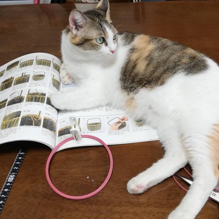 6b53ddba 7056 43ab aa71 a0c2f236f2bc 1725705985376