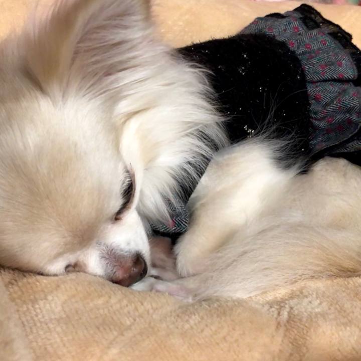 6b54775b 629b 4be0 85bb 1daa7820167a 1517838729084