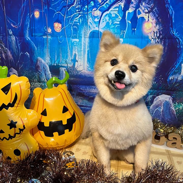 6b5488d1 9ec3 4725 af44 91bd0b62e50d 1667102969942