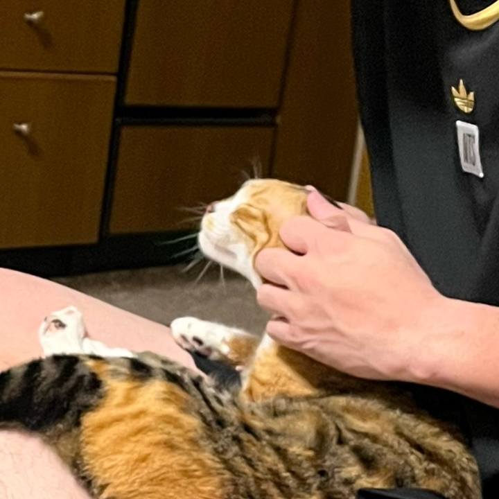 6b54a7bd 8f30 4d0d ab08 d99266e560a1 1743168356341