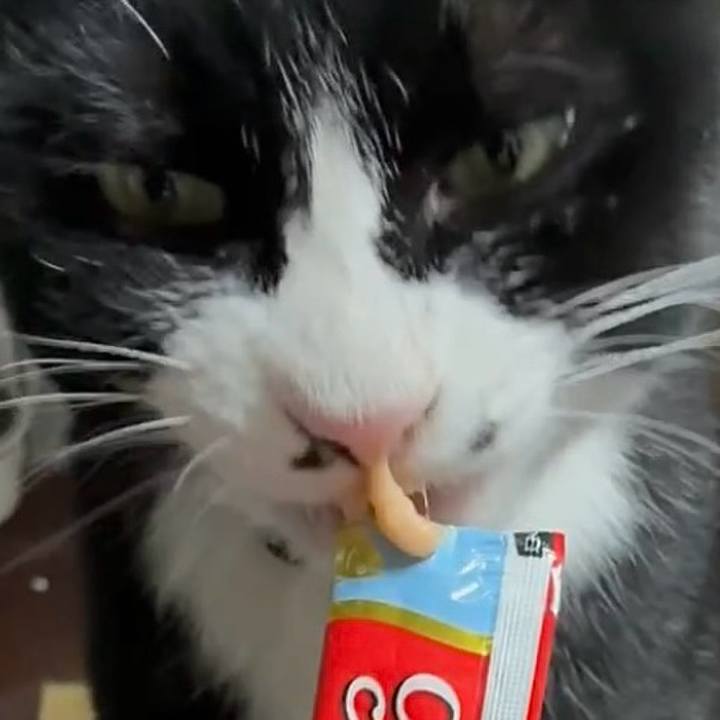 6b54e27b bc93 4f50 aecc cb5e712ec6b8 1767177727299