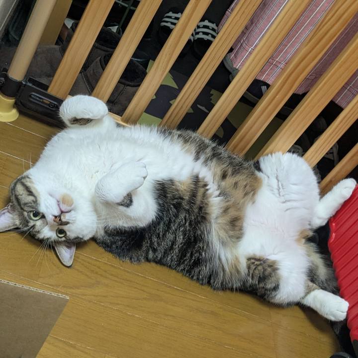 6b54f6c9 a820 42dc a510 8f317cf402a8 1759922463449