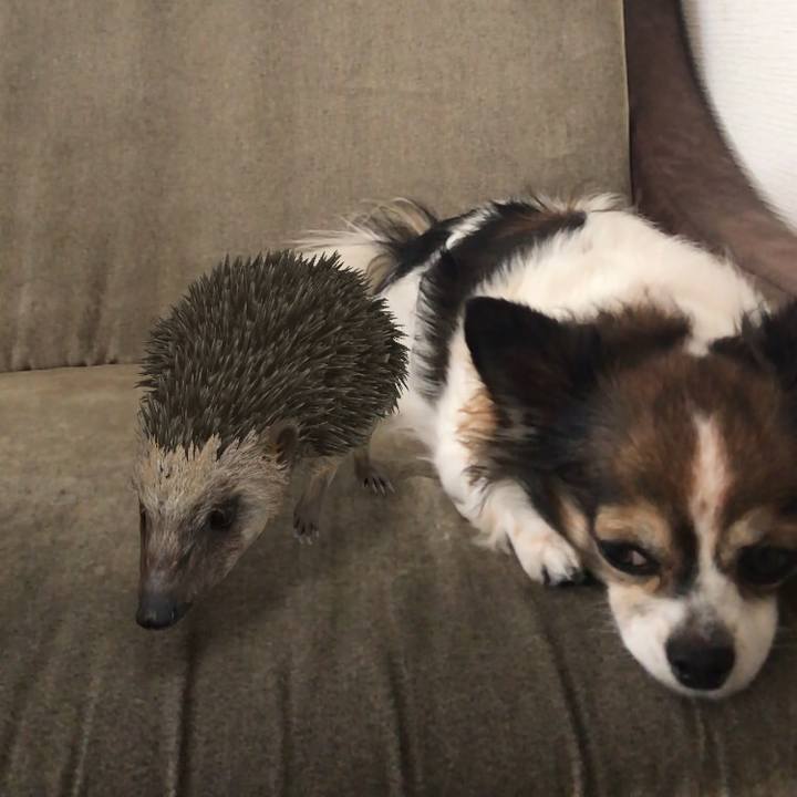 6b54fdab e06d 4651 8145 02a62f565a5a 1603936715719