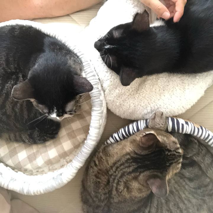 6b550af6 fd1e 49c3 953b 4354091a5f7b 1600789339758