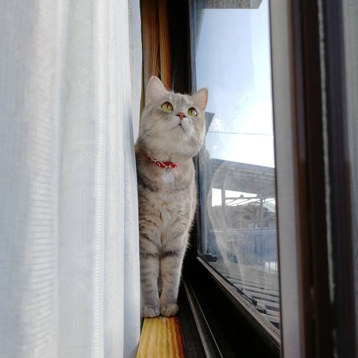 6b553803 cfe0 43c4 b176 bbbc2f533ebb 1535702669609