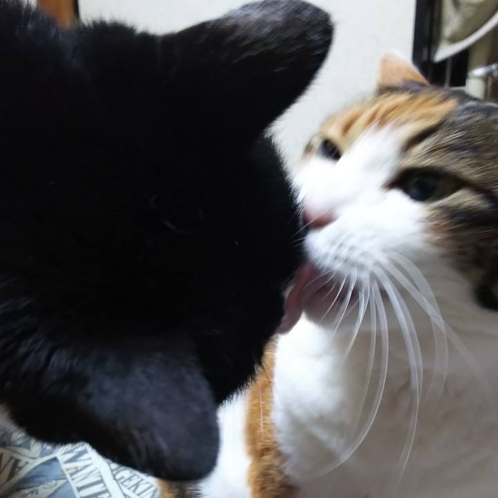 6b55403b 4fe9 43f0 8151 d362f2877daf 1583793560525