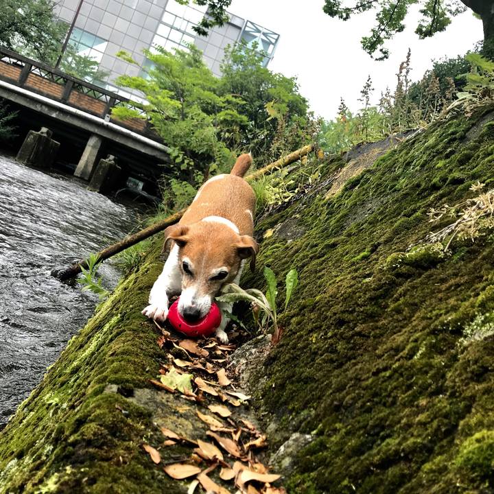 6b554149 d9e9 48b3 8ba8 22f74af2e3f3 1561788762123