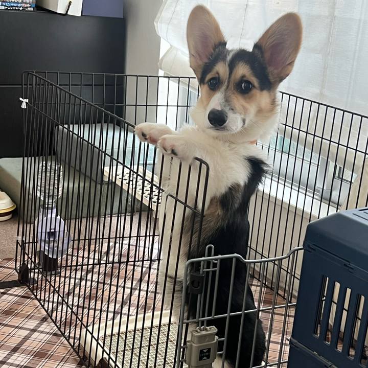 6b556b3d 96bd 4c2c a795 8a0856458328 1774661212531