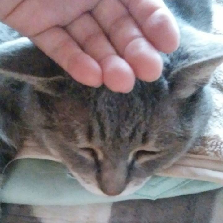 6b55800e 537c 44a3 aa98 75d7a7e0535e 1594414476013