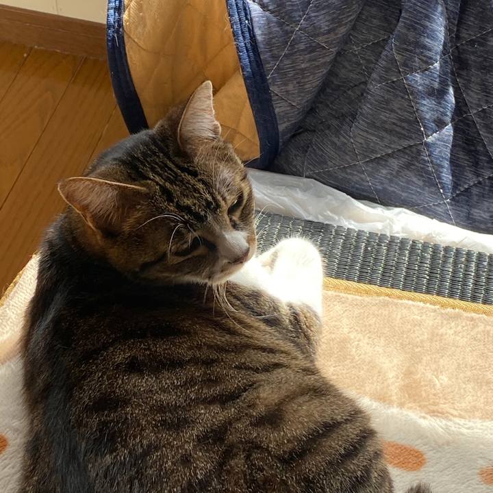 6b55ba98 df55 4498 ad60 4996a1b75c4b 1584329776981