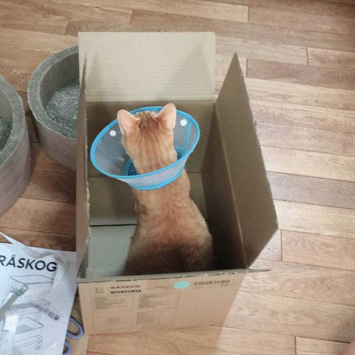 6b55d891 bca7 4d7e b9a3 536e3dbcc3ce 1525510812083