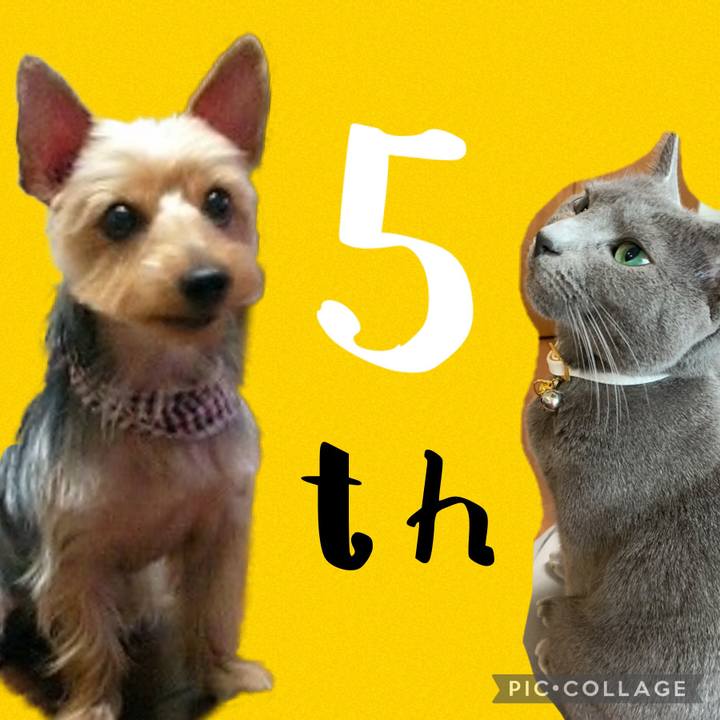 6b568c99 a708 470f 9e53 3c578db713d1 1622858534114