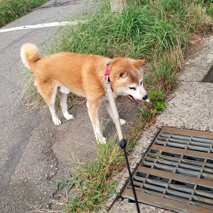 6b56a756 f02e 48d5 9a9c 07baa3fc47f8 1756198779180