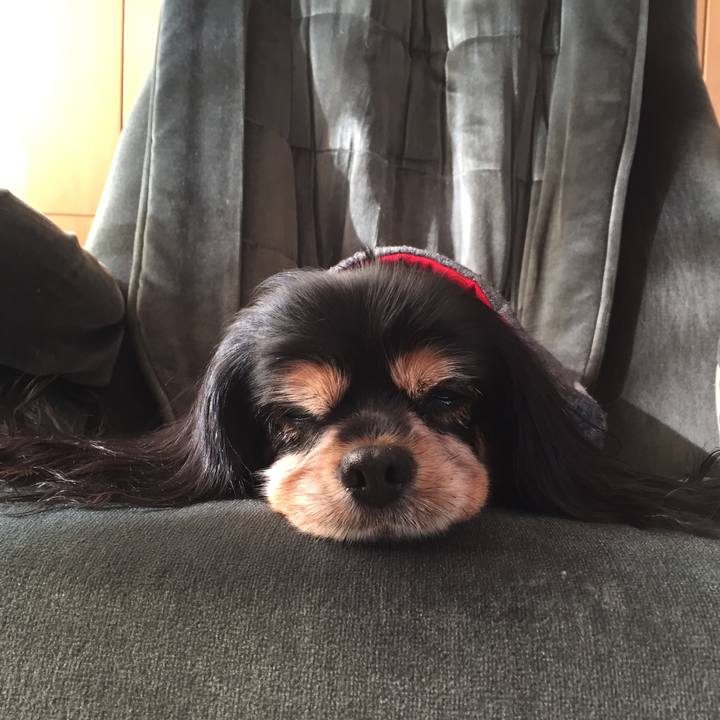 6b56bd17 24b2 4e72 973f 68b370a197f2 1569655731093