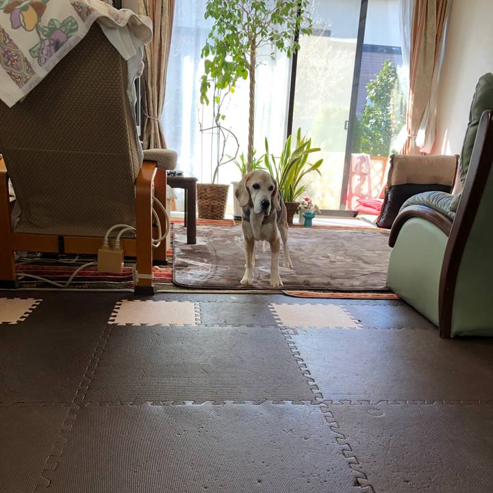 6b570083 a4b0 4bc5 a74f d89a1ea95e1b 1583240646434