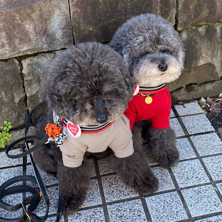 6b5714a0 c1e8 4a62 99f3 33da45cc0730 1634702567729