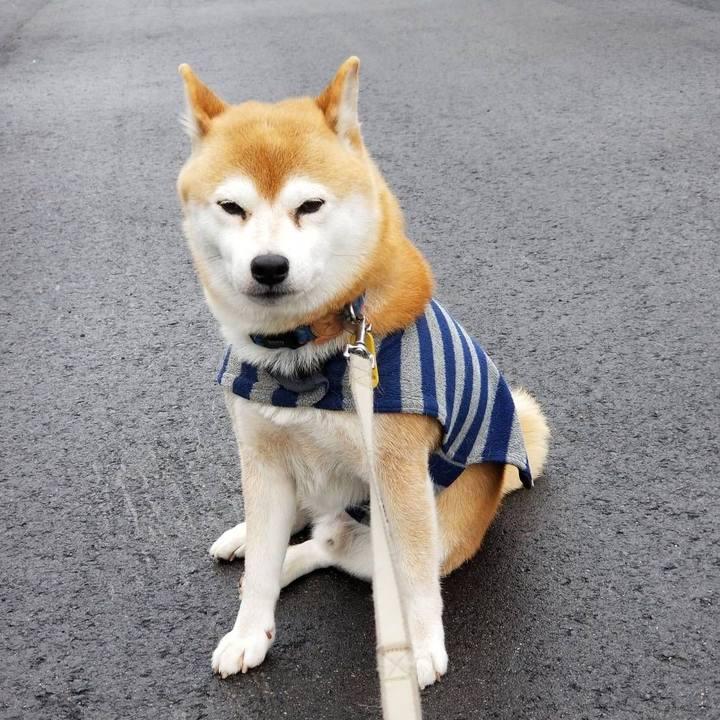 6b573669 d7f1 4976 953e 833e27610b3c 1580271198515