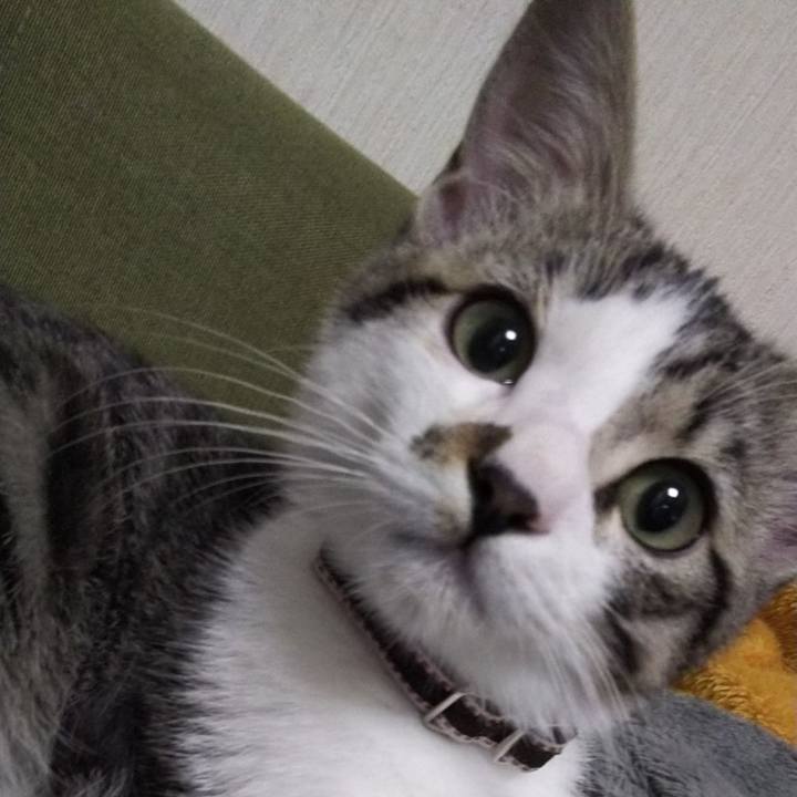 6b573b17 03db 4b99 99bf 2db535eae8af 1610366886546