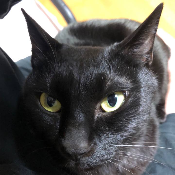 6b578b59 215d 43af bb7f 85c32a8b1c86 1707302958380