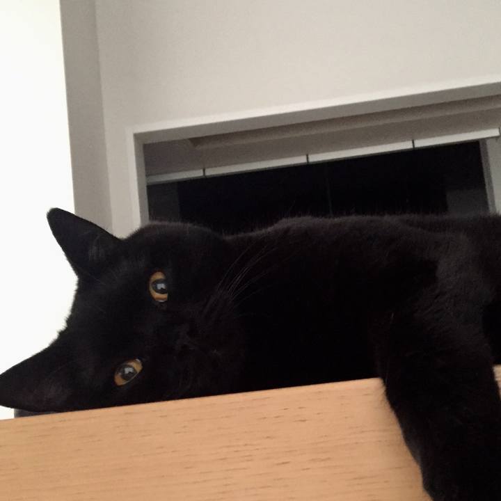 6b57aba2 aeb1 44db 8152 5b0341f3c98f 1566162285470