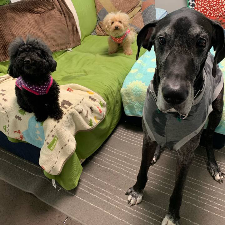 6b57d765 2b9b 4992 b816 0b28c49a2124 1589323928792