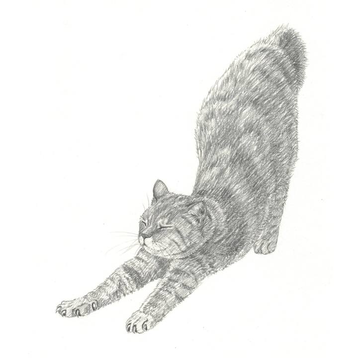 6b57de4a 63b3 4ff0 8e40 a67a07717f73 1542371794406