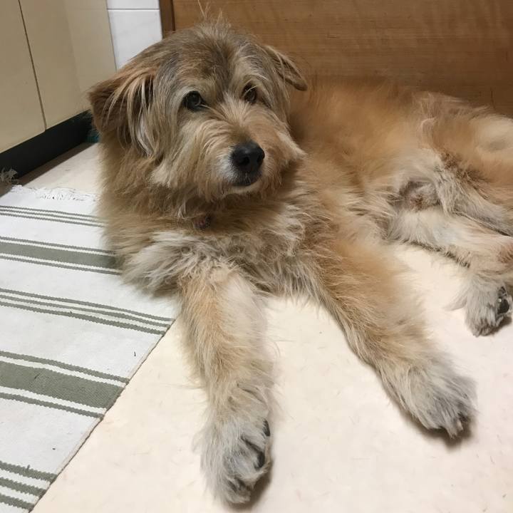 6b5830a7 3a89 4eb9 99db 8a302036e12c 1619447143231