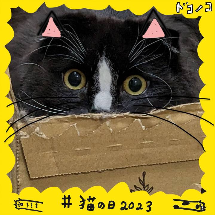 6b583846 e868 4f33 8128 7791ef970996 1677063263791