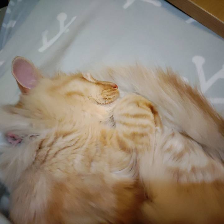 6b58c930 d65d 42aa 95d9 d7c2828b8904 1670419595981