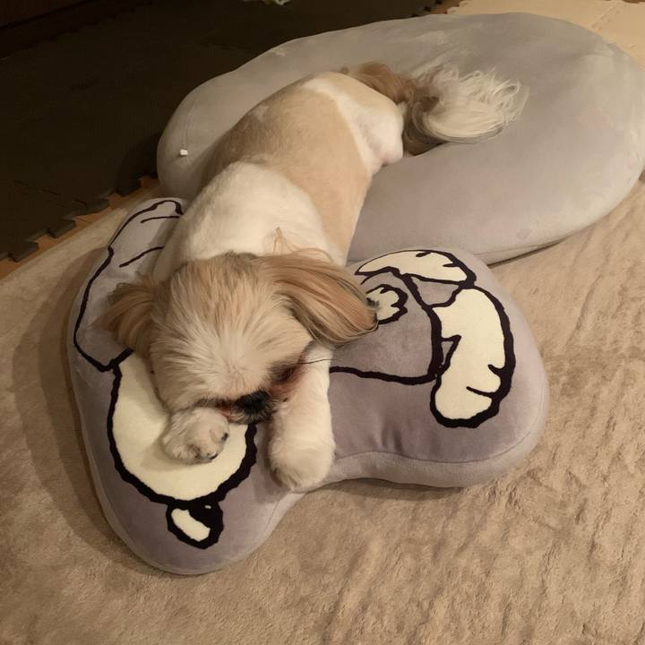 6b58d0c4 7731 4b23 835c bed0e1296706 1626702952023