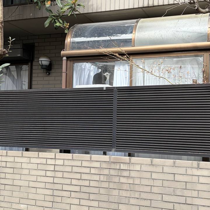 6b58d699 68f0 4cff a86e 3f4f591f61d4 1771903490510