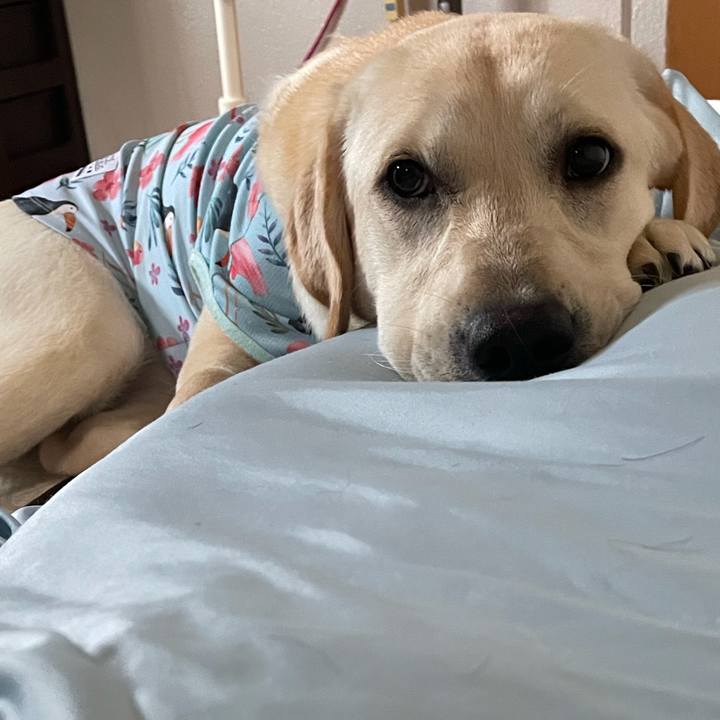 6b591c9e 6d1e 4243 b2e7 151a8150c4c3 1623884858297