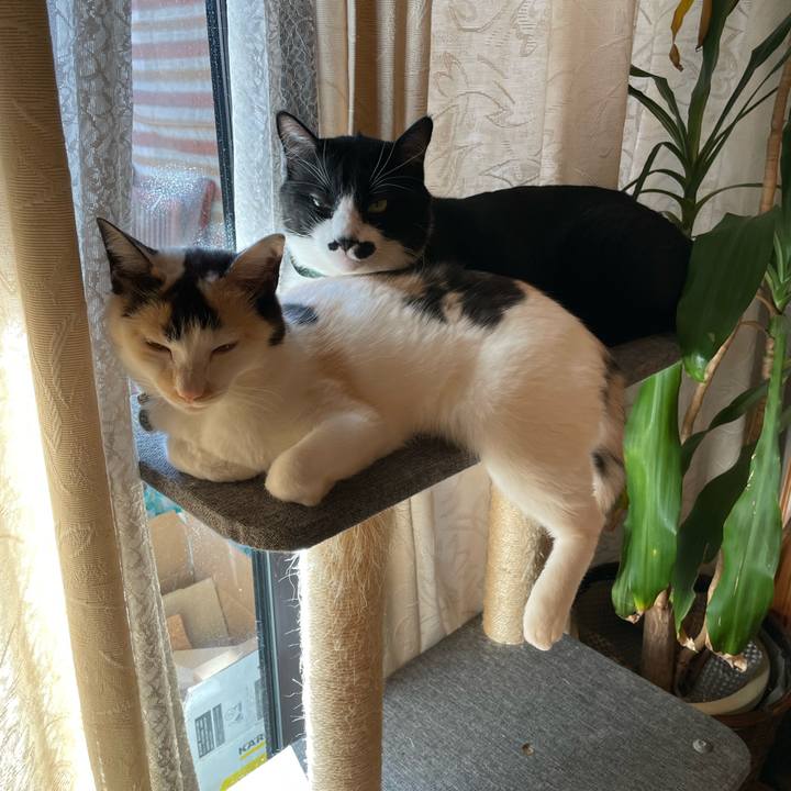 6b596598 6457 42a0 a507 ba42c442fb75 1736559394890