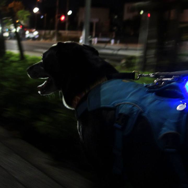 6b5973a0 ccfd 441f 97a9 ca55f7c4ea78 1699268974057