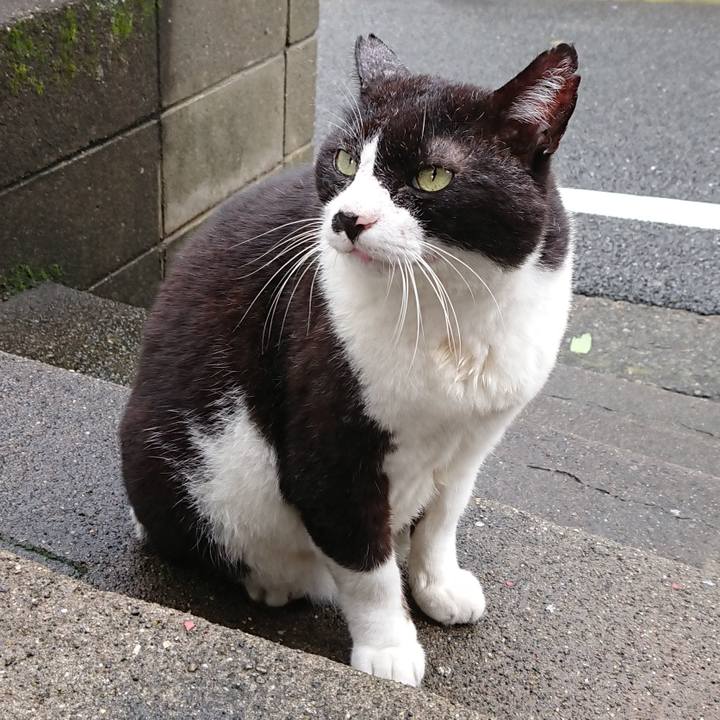 6b59754c e621 420c a5cc 624f41c69f97 1631942094976