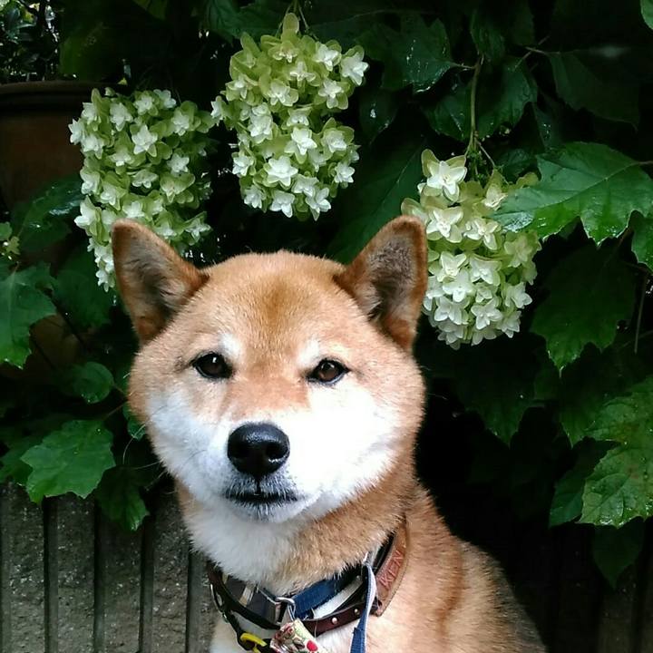 6b59812c 4e3c 4cb0 b9b9 758a9202a961 1562892219308