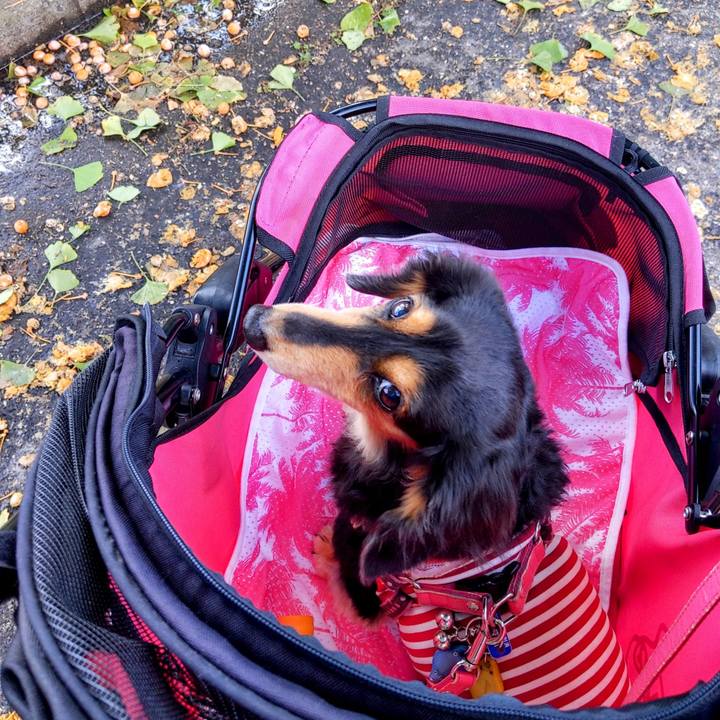 6b5998d5 b0a1 4d43 bed4 9bee5124e084 1634207789497