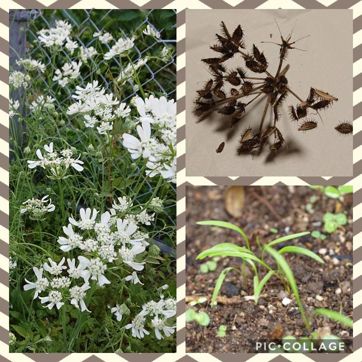 6b59a684 4f40 4ae1 a706 b43593f819d2 1599113739080