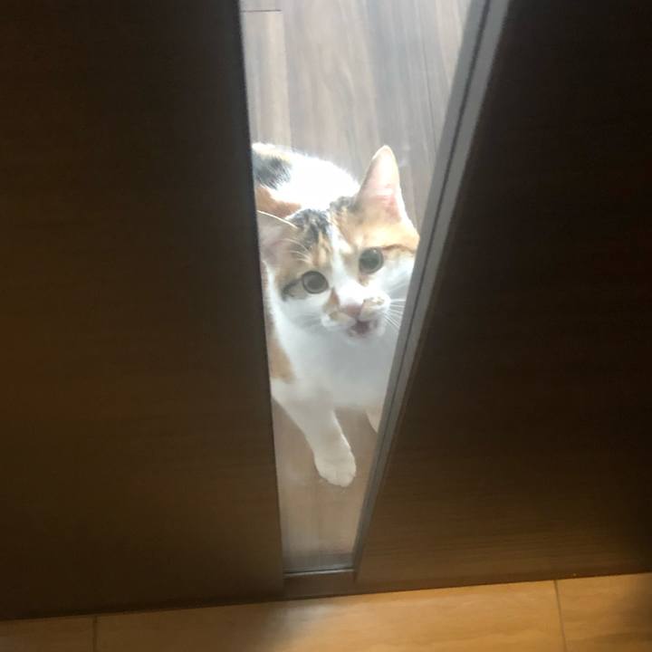 6b59cccb fdc9 4ab4 a1cf 75eb37face6b 1587684949979