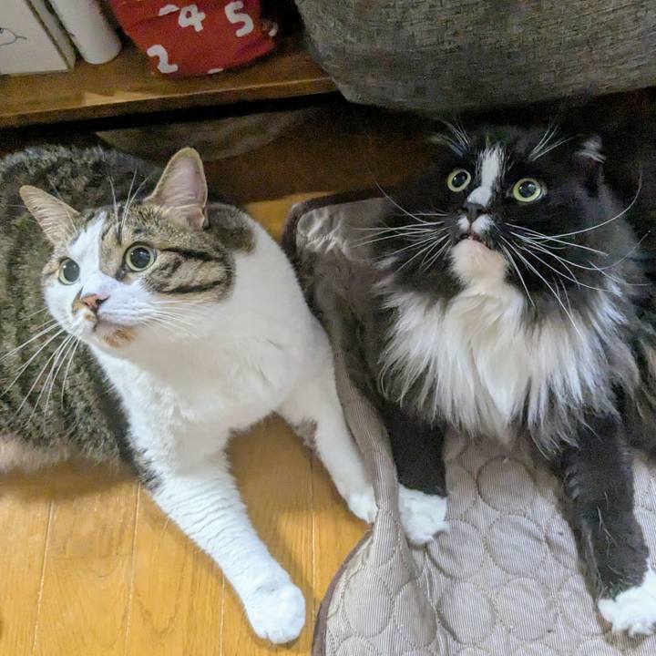 6b5a581b 6f3e 4c54 ae47 641a44721135 1753533729637