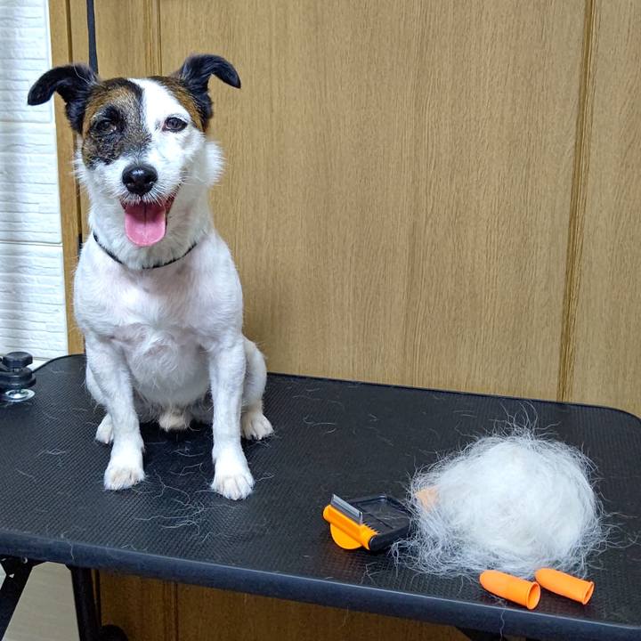 6b5a9588 18b8 4fbe b1e5 a6037d3a2b7d 1654518979197