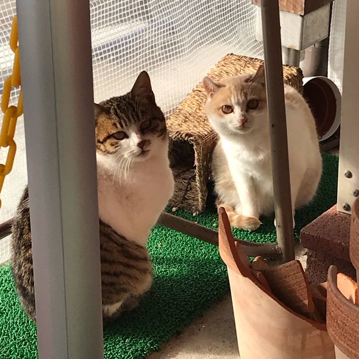 6b5ab286 2d0a 4cc8 88a6 644effcb447e 1547458007601